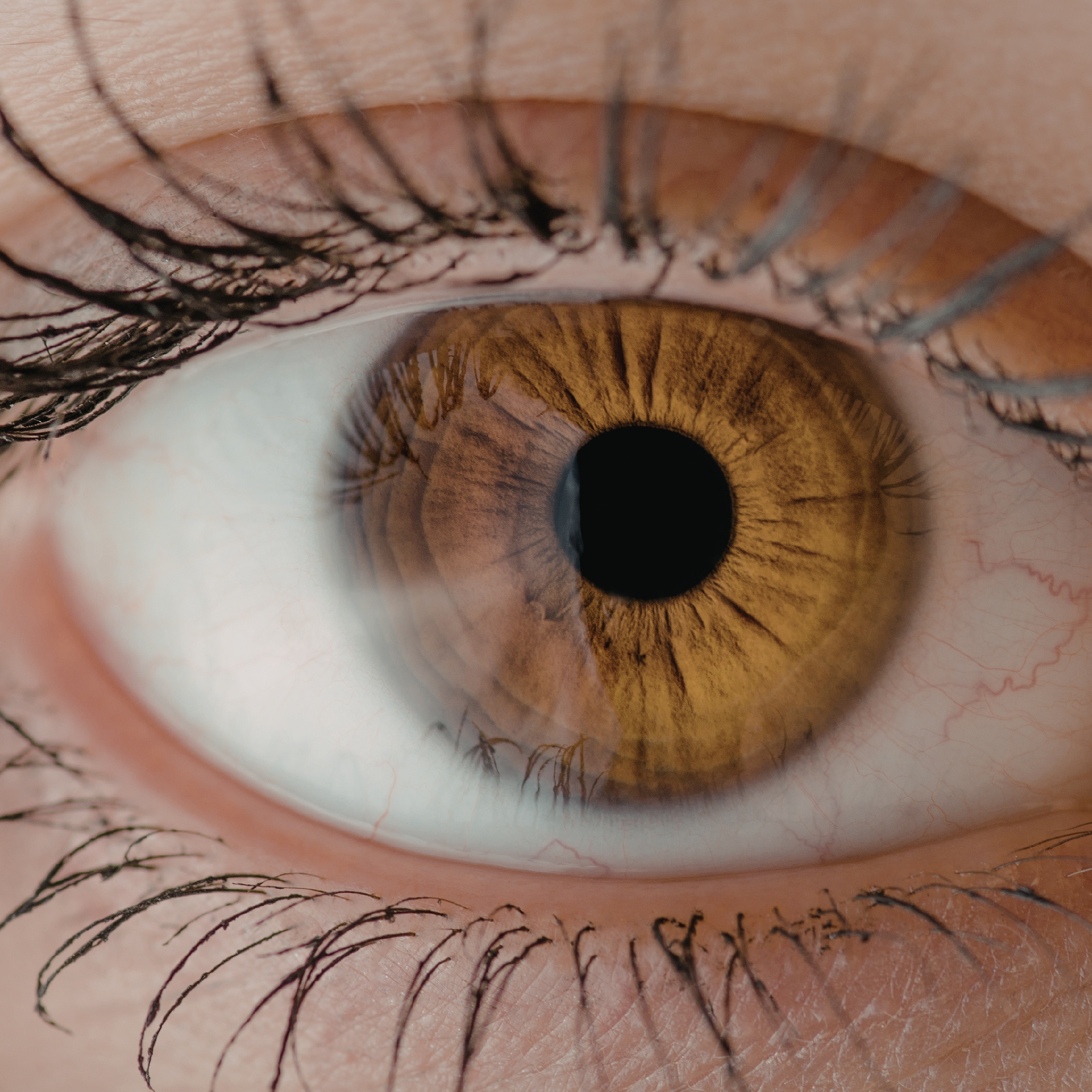 The Science of Eyelash Enhancement: Understanding the Hair Growth Cycle and Clinical Solutions